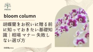 胡蝶蘭をお祝いに贈る前に知っておきたい基礎知識｜相場・マナー・失敗しない選び方に関するコラム ピンクの胡蝶蘭の画像