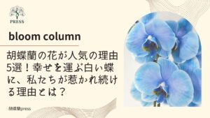 胡蝶蘭の花が人気の理由5選！幸せを運ぶ白い蝶に、私たちが惹かれ続ける理由とは？に関してのコラム ブルーの胡蝶蘭の花びらの画像