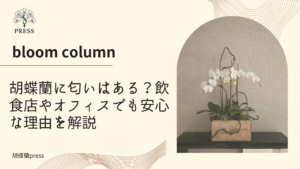 胡蝶蘭に匂いはある？飲食店やオフィスでも安心な理由を解説に関するコラム記事画像