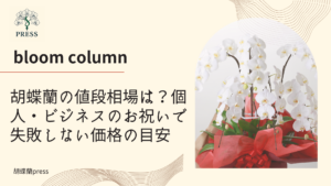 胡蝶蘭の値段相場は？個人・ビジネスのお祝いで失敗しない価格の目安に関するコラム記事画像