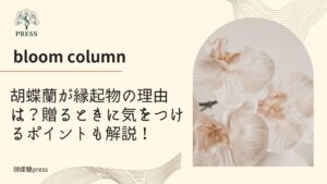 胡蝶蘭が縁起物の理由は？贈るときに気をつけるポイントも解説！に関するコラム画像