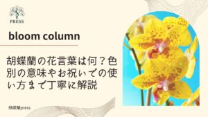 胡蝶蘭の花言葉は何？色別の意味やお祝いでの使い方まで丁寧に解説に関するコラム画像