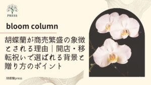 胡蝶蘭が商売繁盛の象徴とされる理由｜開店・移転祝いで選ばれる背景と贈り方のポイントに関するコラム記事画像