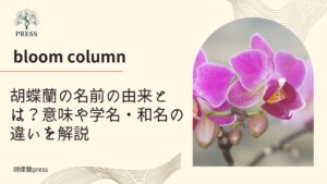 胡蝶蘭の名前の由来とは？意味や学名・和名の違いを解説 胡蝶蘭の名前の由来とは？意味や学名・和名の違いを解説に関するコラム画像