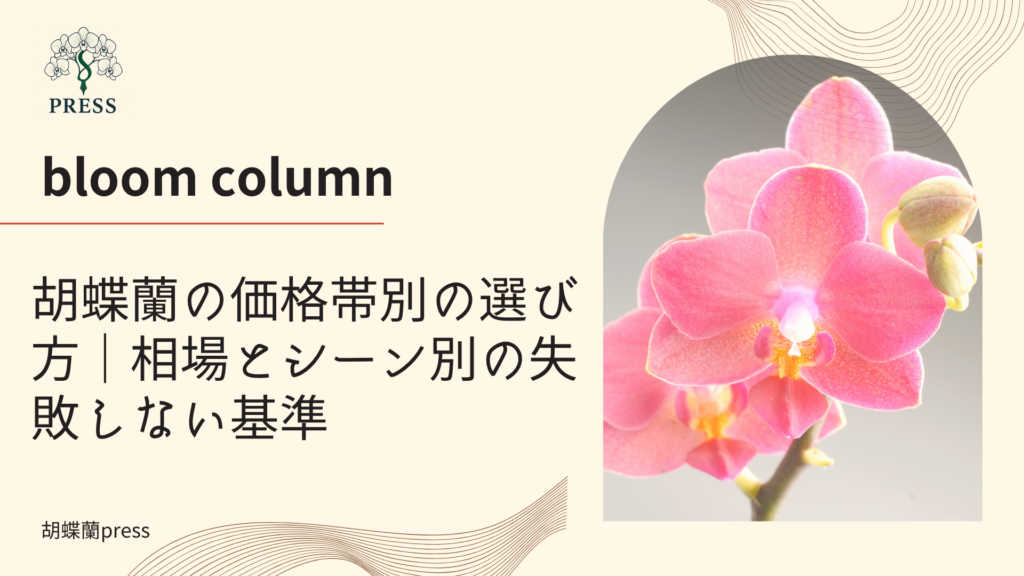 胡蝶蘭の価格帯別の選び方|相場とシーン別の失敗しない基準に関するコラム記事画像