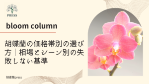 胡蝶蘭の価格帯別の選び方｜相場とシーン別の失敗しない基準に関するコラム記事画像