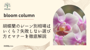 胡蝶蘭のシーン別相場はいくら？失敗しない選び方とマナーを徹底解説に関するコラム記事画像
