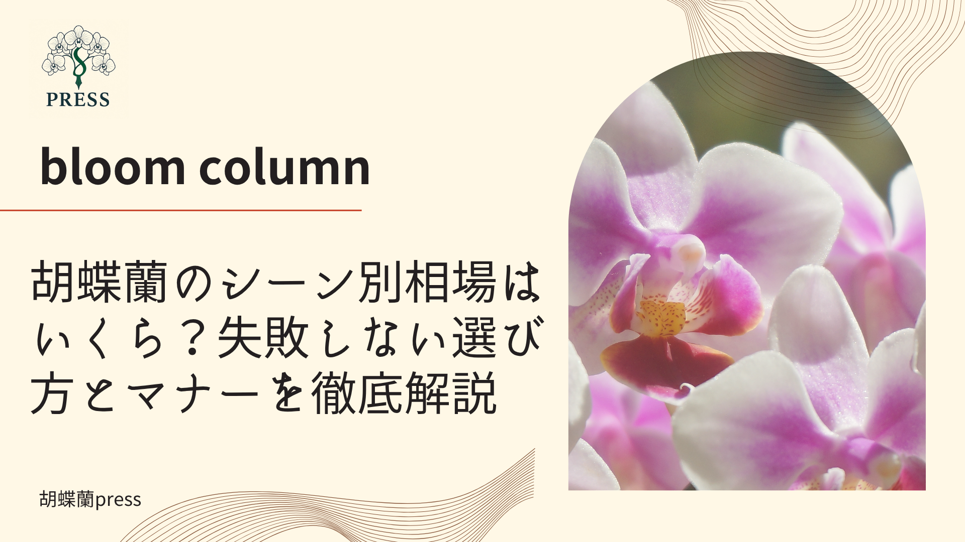 胡蝶蘭のシーン別相場はいくら？失敗しない選び方とマナーを徹底解説に関するコラム記事画像