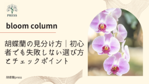 胡蝶蘭の見分け方｜初心者でも失敗しない選び方とチェックポイントに関するコラム記事画像