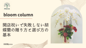 開店祝いで失敗しない胡蝶蘭の贈り方と選び方の基本に関するコラム記事画像