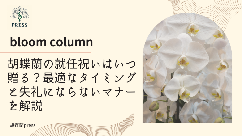 胡蝶蘭の就任祝いはいつ贈る?最適なタイミングと失礼にならないマナーを解説に関するコラム記事画像