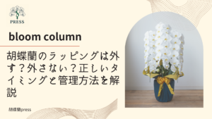 胡蝶蘭のラッピングは外す？外さない？正しいタイミングと管理方法を解説に関するコラム記事画像