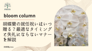胡蝶蘭の就任祝いはいつ贈る？最適なタイミングと失礼にならないマナーを解説に関するコラム記事画像