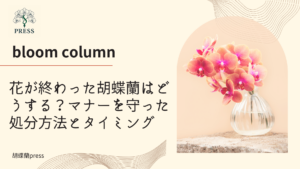 花が終わった胡蝶蘭はどうする？マナーを守った処分方法とタイミングに関するコラム記事画像