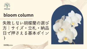 失敗しない胡蝶蘭の選び方｜サイズ・立札・納品日で押さえる基本ポイントに関するコラム記事画像