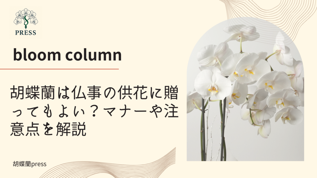 胡蝶蘭は仏事の供花に贈ってもよい？マナーや注意点を解説に関するコラム記事画像