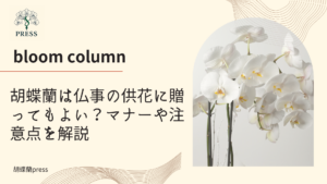 胡蝶蘭は仏事の供花に贈ってもよい？マナーや注意点を解説に関するコラム記事画像