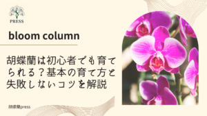 胡蝶蘭は初心者でも育てられる？基本の育て方と失敗しないコツを解説に関するコラム記事画像