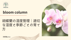 胡蝶蘭の湿度管理｜適切な湿度と季節ごとの育て方に関するコラム記事画像