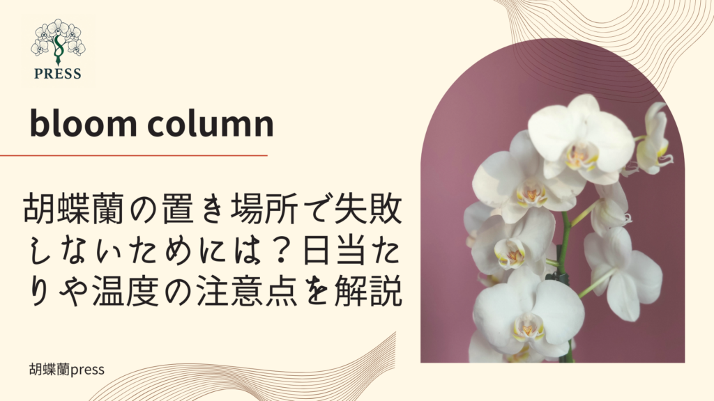 胡蝶蘭の置き場所で失敗しないためには?日当たりや温度の注意点を解説に関するコラム記事画像