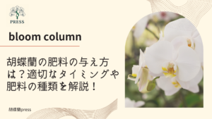 胡蝶蘭の肥料の与え方は？適切なタイミングや肥料の種類を解説！に関するコラム記事画像