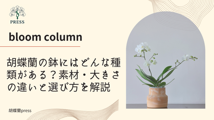 胡蝶蘭の鉢にはどんな種類がある？素材・大きさの違いと選び方を解説に関するコラム記事画像